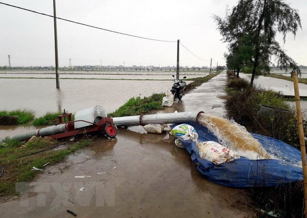 各省继续开展第三号台风后救灾工作 ảnh 1 各省继续开展第三号台风后救灾工作 ảnh 1