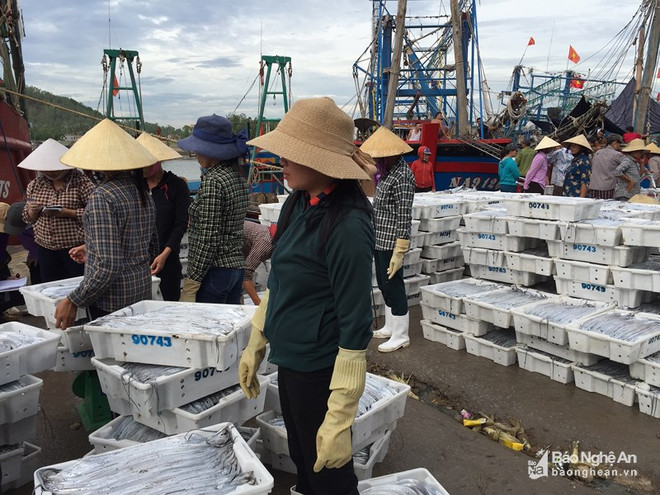 2018年上半年乂安省出口总额同比增长13.58% ảnh 1 2018年上半年乂安省出口总额同比增长13.58% ảnh 1