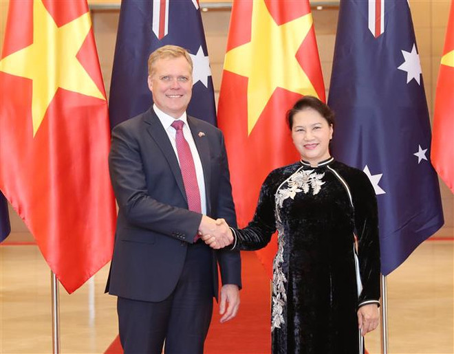 国会主席阮氏金银与澳大利亚众议院议长托尼•史密斯举行会谈 ảnh 2 国会主席阮氏金银与澳大利亚众议院议长托尼•史密斯举行会谈 ảnh 2