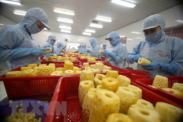 2021年4个月越南蔬果出口额同比增长9.5% ảnh 1 2021年4个月越南蔬果出口额同比增长9.5% ảnh 1