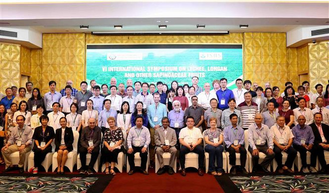 越南学习借鉴龙眼与荔枝生产国际经验 ảnh 3 越南学习借鉴龙眼与荔枝生产国际经验 ảnh 3