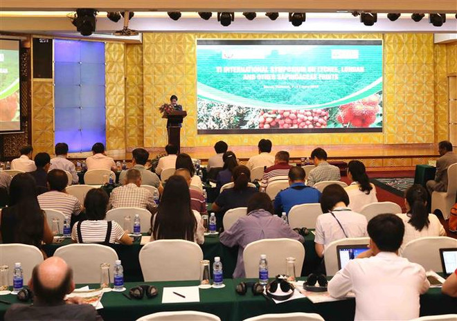 越南学习借鉴龙眼与荔枝生产国际经验 ảnh 1 越南学习借鉴龙眼与荔枝生产国际经验 ảnh 1