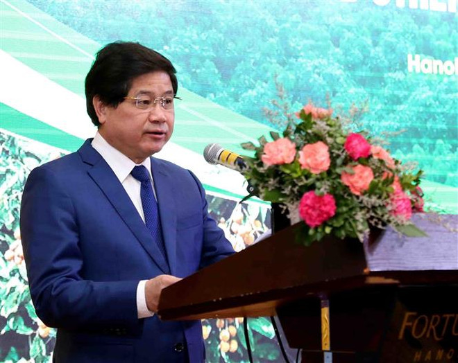 越南学习借鉴龙眼与荔枝生产国际经验 ảnh 2 越南学习借鉴龙眼与荔枝生产国际经验 ảnh 2