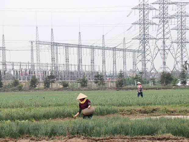越南农业解决瓶颈 振翅飞翔 ảnh 2 越南农业解决瓶颈 振翅飞翔 ảnh 2