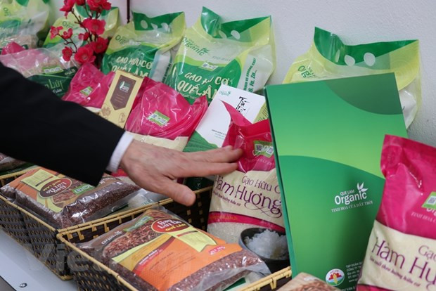 越南农业解决瓶颈 振翅飞翔 ảnh 1 越南农业解决瓶颈 振翅飞翔 ảnh 1