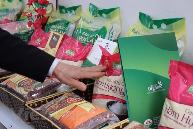 越南农业解决瓶颈 振翅飞翔 ảnh 1 越南农业解决瓶颈 振翅飞翔 ảnh 1