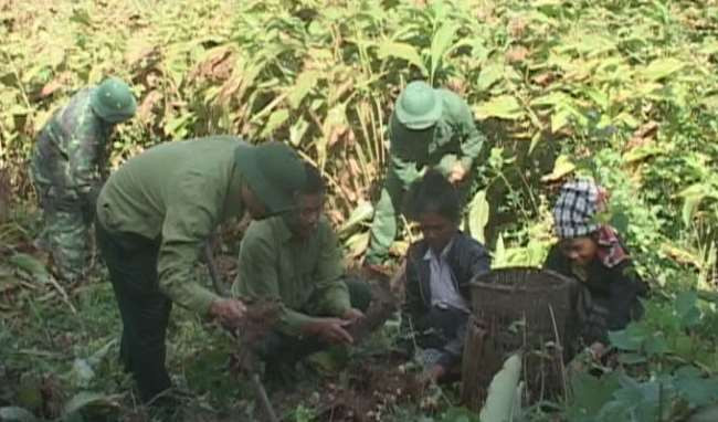 广治省337号国防经济团帮困难群众脱贫解困 ảnh 1