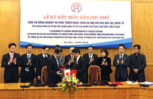 河内扩大对日本和马来西亚农产品出口 ảnh 1