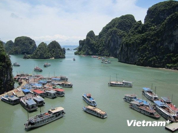 越南跻身东南亚最值得一游的五大旅游目的地名单 ảnh 1