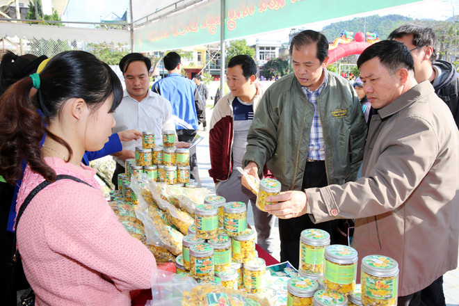 广宁省金花茶节开幕 推广旅游新产品和吸引投资 ảnh 2 广宁省金花茶节开幕 推广旅游新产品和吸引投资 ảnh 2