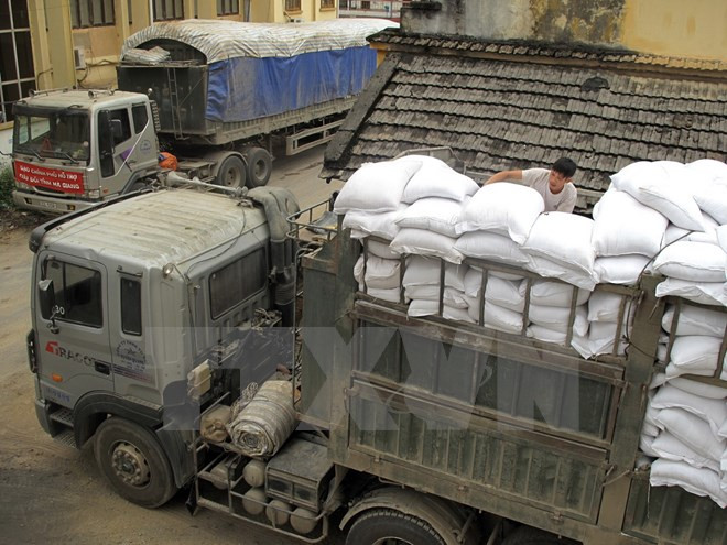 政府总理指导向宣光和宜安两省免费提供近3900吨大米 ảnh 1