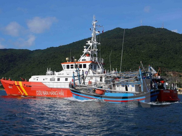 越南平定省渔船被撞沉事件:越南有关机关进行核实并查明肇事者 ảnh 1 越南平定省渔船被撞沉事件:越南有关机关进行核实并查明肇事者 ảnh 1