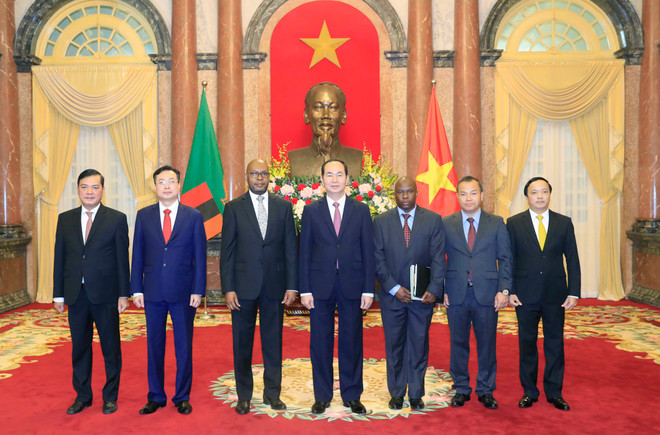 国家主席陈大光接受六国新任驻越大使递交国书 ảnh 2 国家主席陈大光接受六国新任驻越大使递交国书 ảnh 2