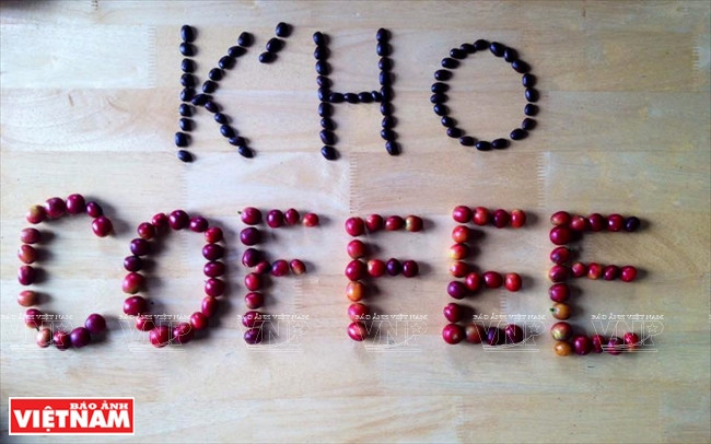 哥霍族人的清洁咖啡品牌“K’Ho Coffee” ảnh 1 哥霍族人的清洁咖啡品牌“K’Ho Coffee” ảnh 1