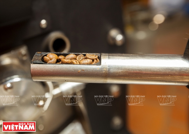 哥霍族人的清洁咖啡品牌“K’Ho Coffee” ảnh 8 哥霍族人的清洁咖啡品牌“K’Ho Coffee” ảnh 8