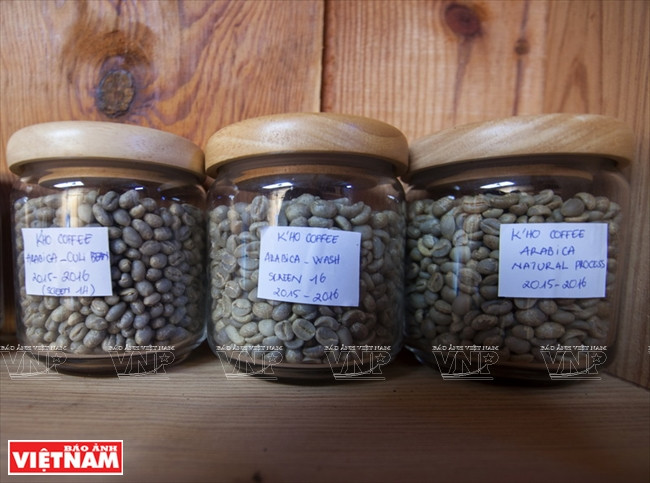 哥霍族人的清洁咖啡品牌“K’Ho Coffee” ảnh 11 哥霍族人的清洁咖啡品牌“K’Ho Coffee” ảnh 11