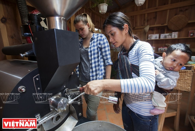 哥霍族人的清洁咖啡品牌“K’Ho Coffee” ảnh 7 哥霍族人的清洁咖啡品牌“K’Ho Coffee” ảnh 7