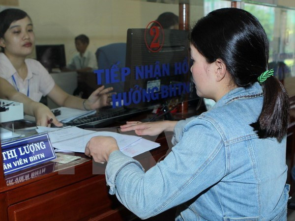 国际劳工组织预测近2500万名劳动人员因受新冠肺炎疫情影响而失业 ảnh 2