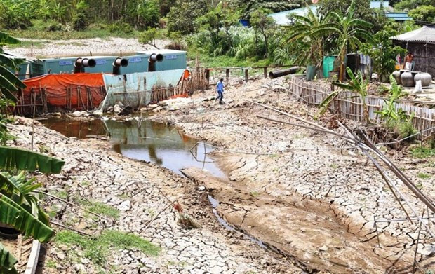 越南最大水稻种植区:海水入侵有所改善但仍不能掉以轻心 ảnh 1 越南最大水稻种植区:海水入侵有所改善但仍不能掉以轻心 ảnh 1