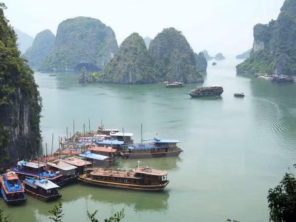 越南旅游业发展扶持金会即将亮相 ảnh 1