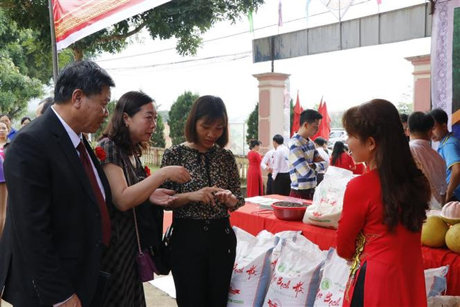 越南第三届大米节将于12月18日开幕 ảnh 1 越南第三届大米节将于12月18日开幕 ảnh 1