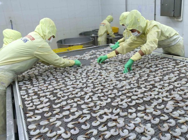今年前10月越南水产出口额增长6.2% ảnh 1 今年前10月越南水产出口额增长6.2% ảnh 1