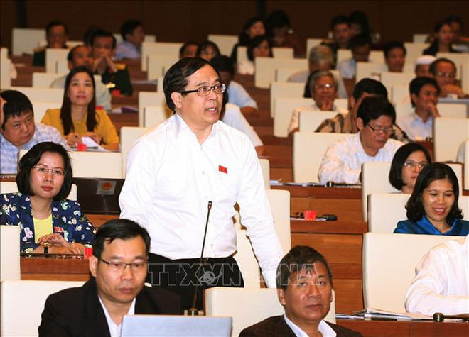 批准CPTPP充分体现越南融入国际社会的主张 ảnh 1