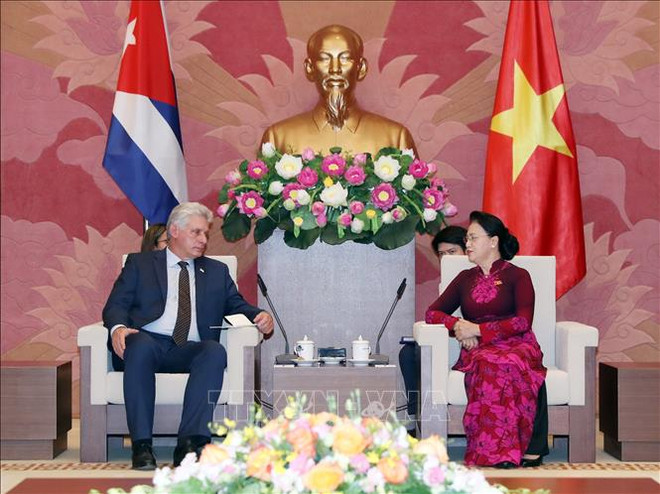 越南国会主席会见古巴国务委员会主席兼部长会议主席 ảnh 1