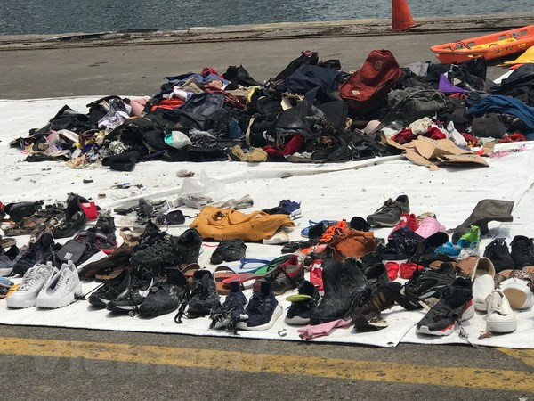 印尼狮航客机坠海事件：新发现可能与JT 610飞机机身和黑匣子有关的物体 ảnh 1