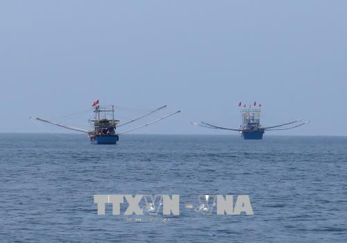 越南海洋战略实施10周年：实现海洋经济发展新突破 ảnh 1