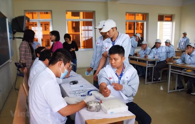 在韩越南劳工居留期限可延长一年 ảnh 1 在韩越南劳工居留期限可延长一年 ảnh 1