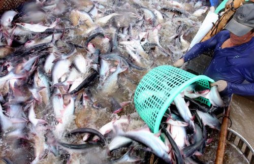 2021年第一季度同塔省商品出口额同比增长近29% ảnh 1 2021年第一季度同塔省商品出口额同比增长近29% ảnh 1