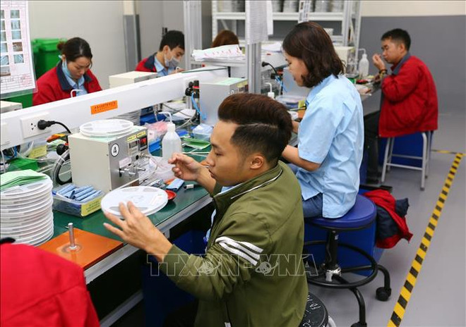 越南积极推动残疾人参政议政 ảnh 1