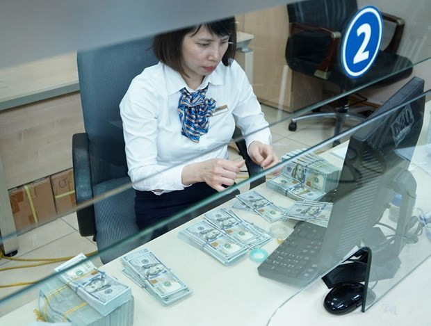 胡志明市今年前3个月侨汇收入达14.5亿美元 ảnh 2 胡志明市今年前3个月侨汇收入达14.5亿美元 ảnh 2