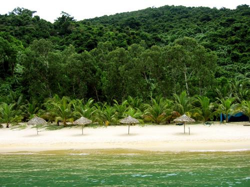 FLC集团获准在玉晕岛开展投资 ảnh 1