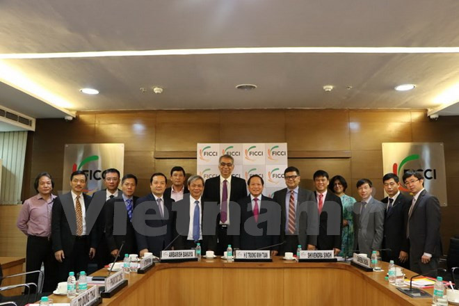 印度愿向越南分享信息技术领域的经验 ảnh 1