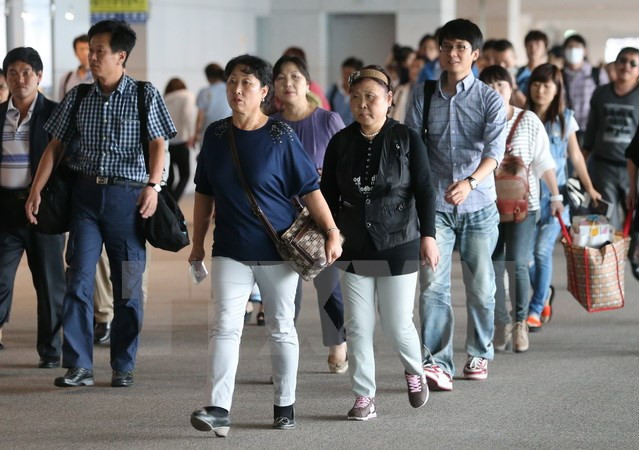 中国是越南旅游业的重要市场之一 ảnh 1 中国是越南旅游业的重要市场之一 ảnh 1