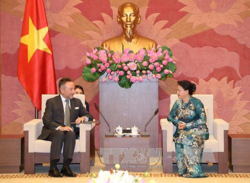 捷克驻越大使:努力促进越捷两国在各个领域上的合作关系 ảnh 1 捷克驻越大使:努力促进越捷两国在各个领域上的合作关系 ảnh 1