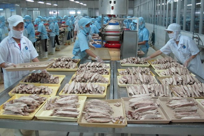 越南投入近730万美元来开展2017-2020年阶段水产业结构调整 ảnh 1