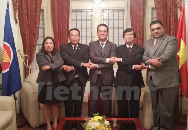 越南积极促进东盟与南美国家的合作关系 ảnh 1