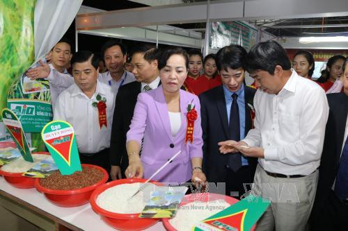 2017年宁平省-红河三角洲地区贸易”展览会在越南宁平省开幕 ảnh 1 2017年宁平省-红河三角洲地区贸易”展览会在越南宁平省开幕 ảnh 1