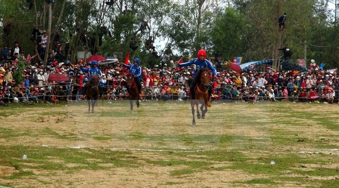 2017年嘉莱省赛马、饮食、文化周拉开序幕 ảnh 1