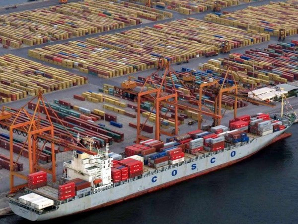 中国与东盟水果班轮直航航线正式开通 ảnh 1