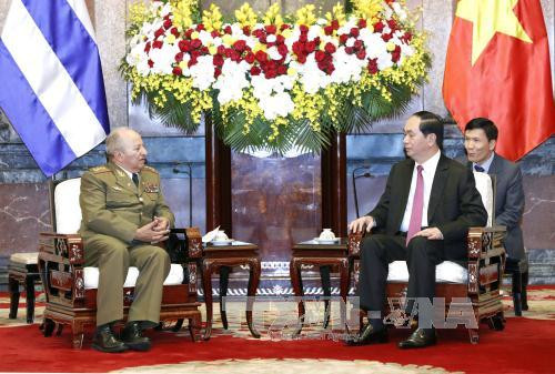 国家主席陈大光：越南在任何情况下都愿与古巴肩并肩站在一起 ảnh 2