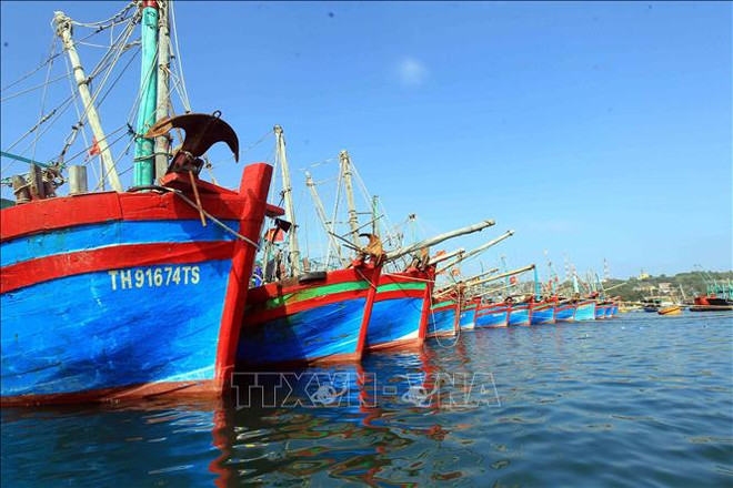 船闸——渔民出海的坚实依靠 ảnh 1