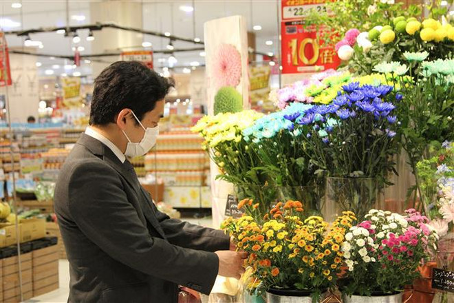 越南花卉开始在日本市场站稳脚跟 ảnh 2 越南花卉开始在日本市场站稳脚跟 ảnh 2