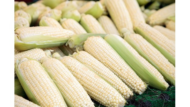 越南商品在比利时超市畅销 ảnh 1