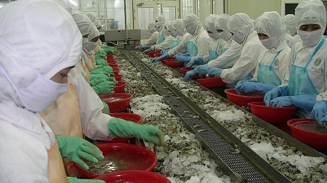 2021年越南对韩国出口虾类有望增长 ảnh 1