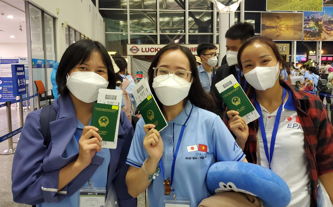 越南重点劳务输出市场逐渐“破冰” ảnh 1 越南重点劳务输出市场逐渐“破冰” ảnh 1