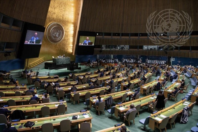 越南代表再次当选为国际法委员会成员 ảnh 1